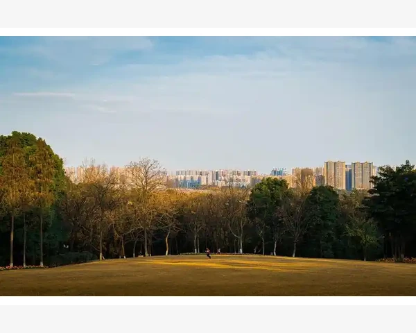 儿童脾胃虚弱喝鸡汤好吗